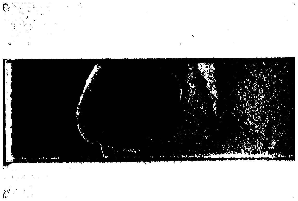 Method and device for fixing cigarette burning cone