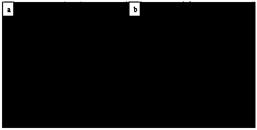 A kind of preparation method of chitosan/molybdenum disulfide photocatalytic antibacterial coating