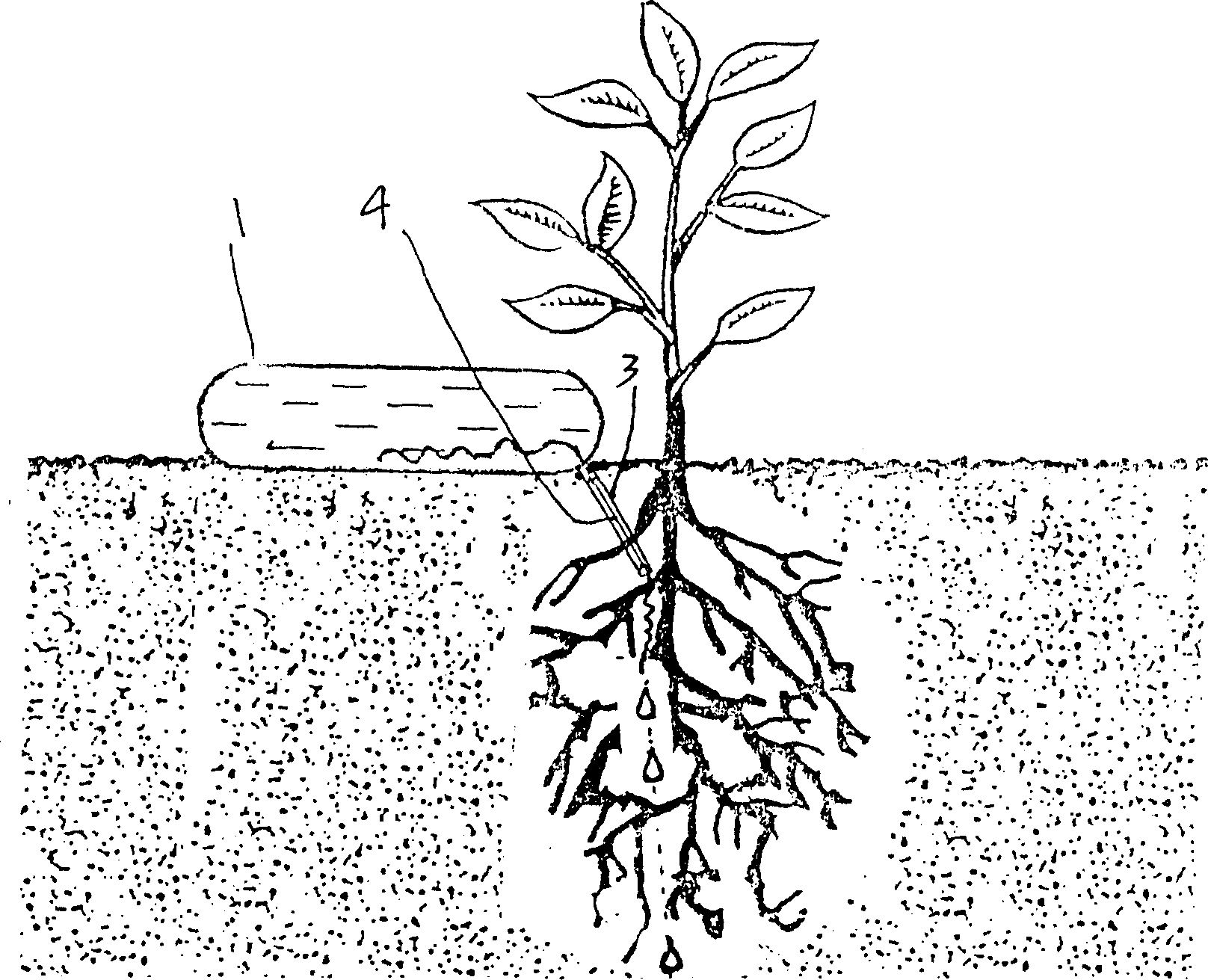 Automatically equalizing flood irrigation apparatus