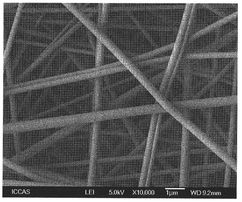 Porous hollow copper oxide nano fiber and preparation method thereof