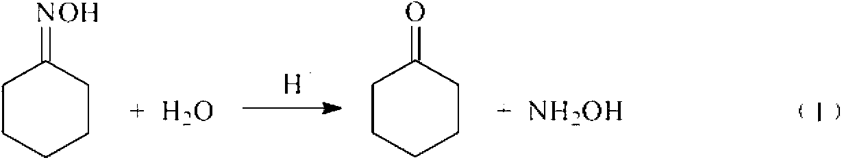 Method for catalyzing hydrolysis reaction of cyclohexanone-oxime in acidic ionic liquid