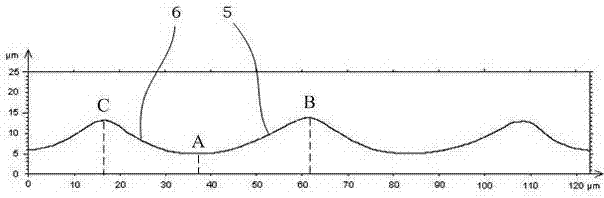 Modeling method of cartilaginous fish placoid scale groove section profile curve