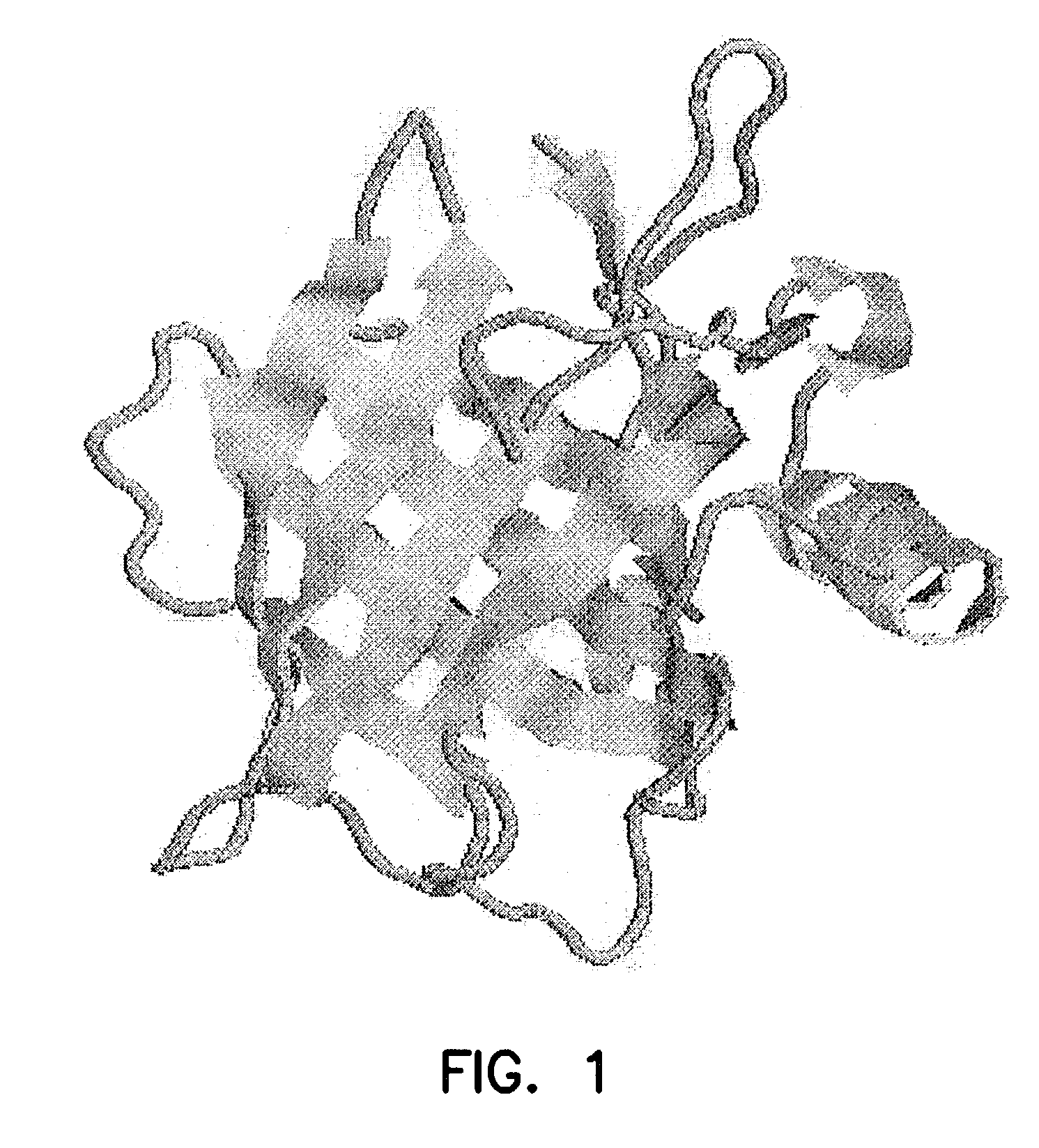 Detecting lipocalin