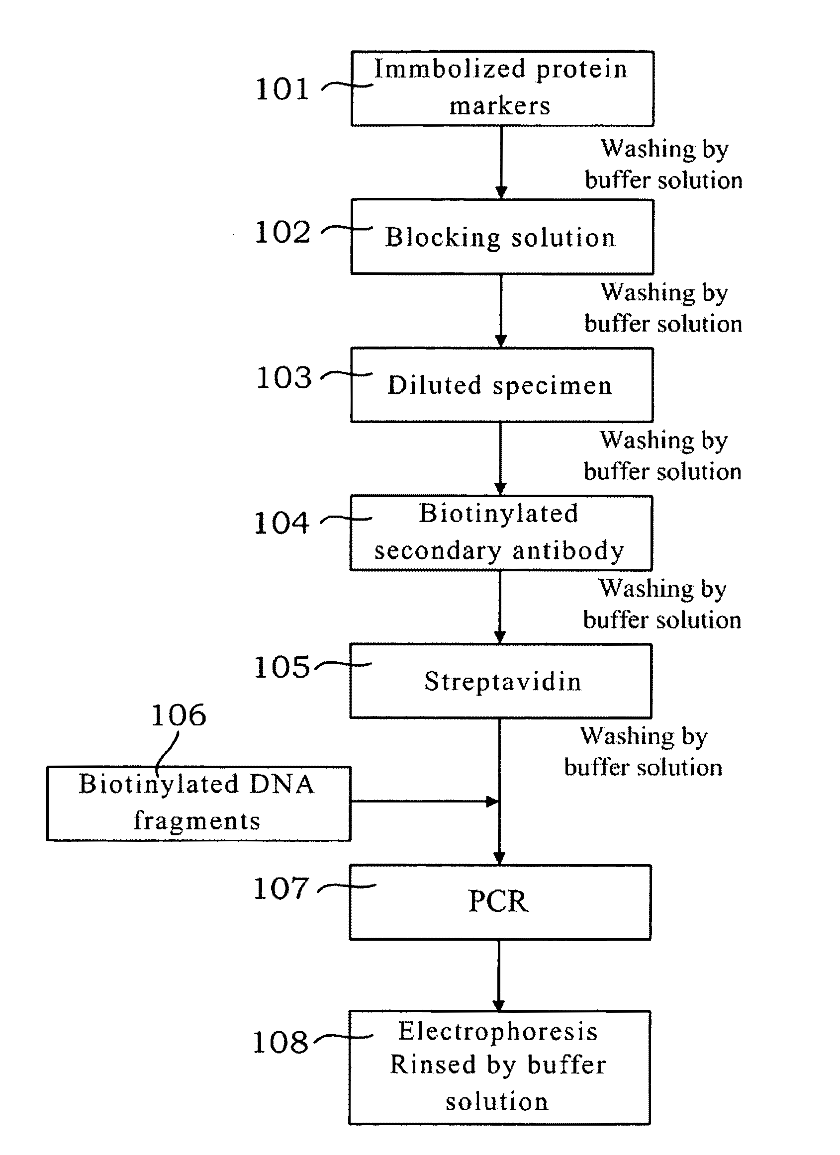 Immuno-PCR method for detecting nasopharyngeal carcinoma markers and kit thereof