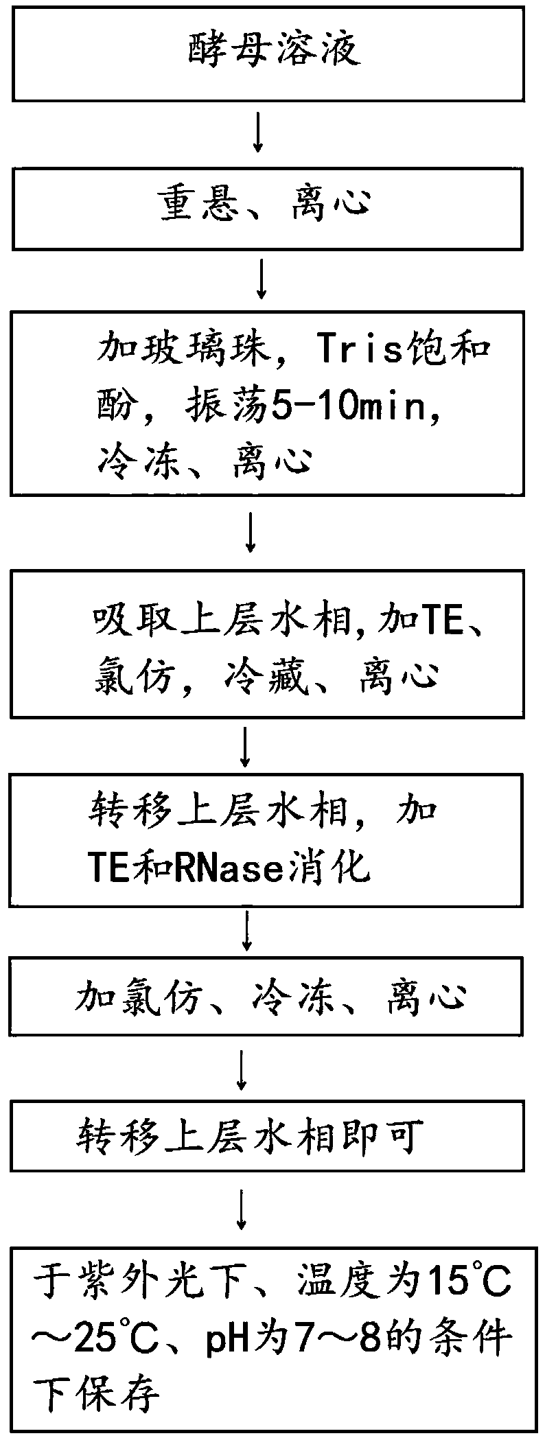 Fidelity storage method for yeast DNA (Deoxyribonucleic Acid)