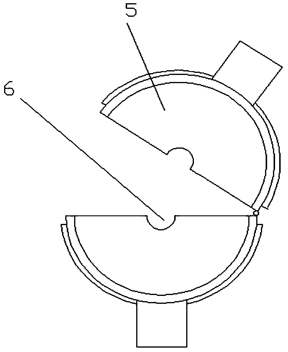 Rose thorn removal apparatus