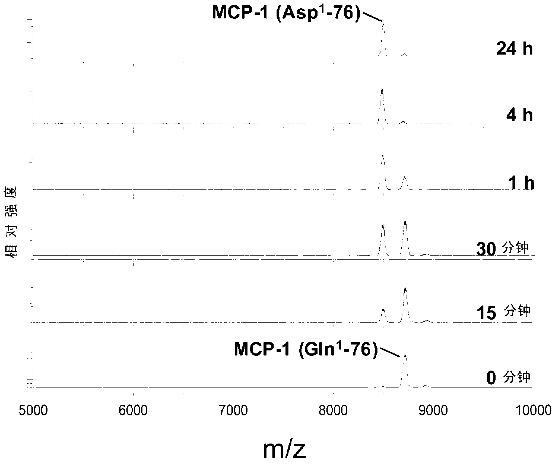 Methods of diagnosing inflammatory diseases by determining pyroglutamate-modified mcp-1 and screening methods for inhibitors of glutaminyl cyclase