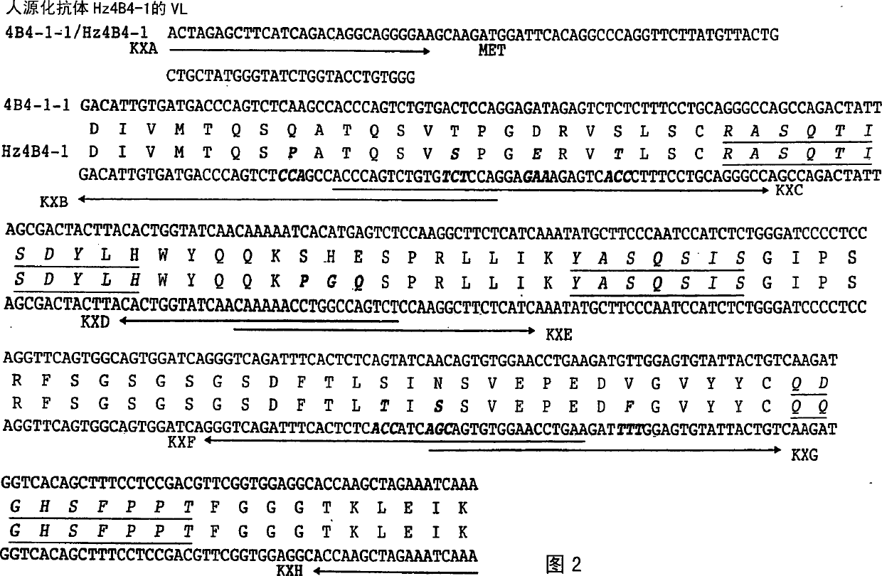 Humanized antibody specific for human 4-1BB and pharmaceutical compsn comprising same
