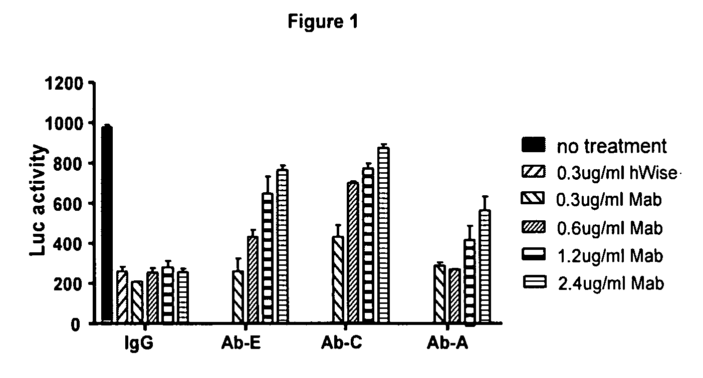 Wise binding agents and epitopes
