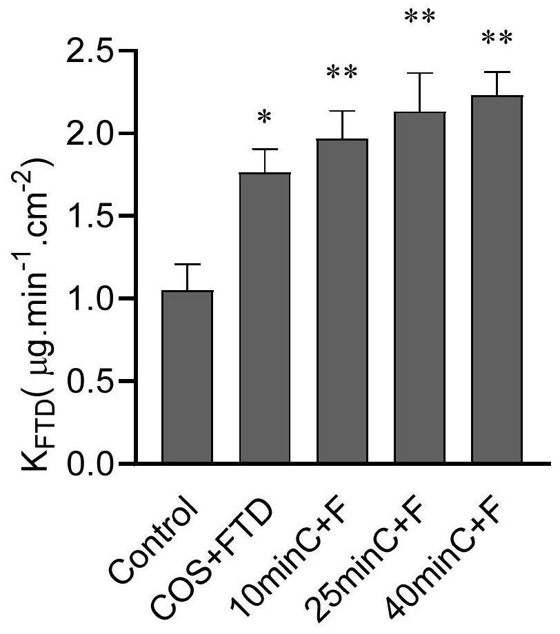 Application of chitosan oligosaccharide in improving intestinal permeability and serving as oral absorption enhancer of BCSIII drugs