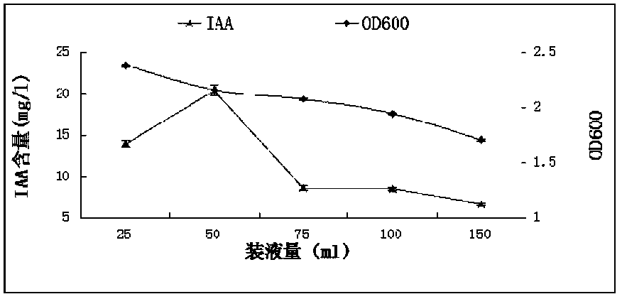 A kind of peanut rhizosphere growth-promoting bacteria hs3 and its application