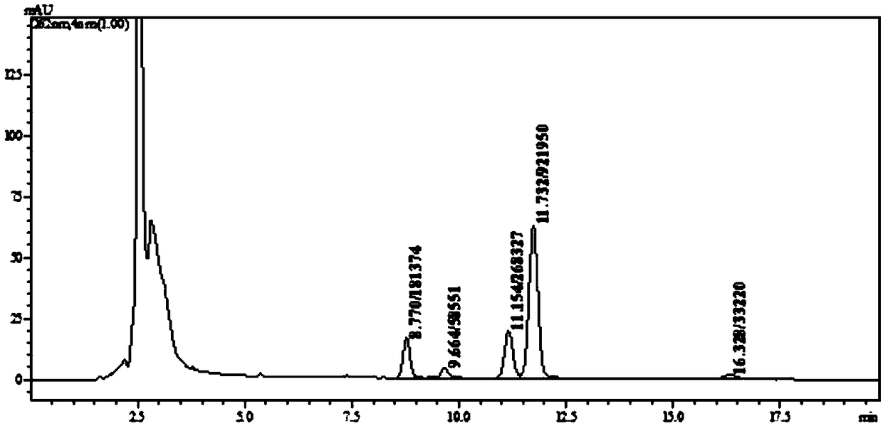 Marine Micromonospora strain for fermentation production of Rakicidin B1, and application thereof