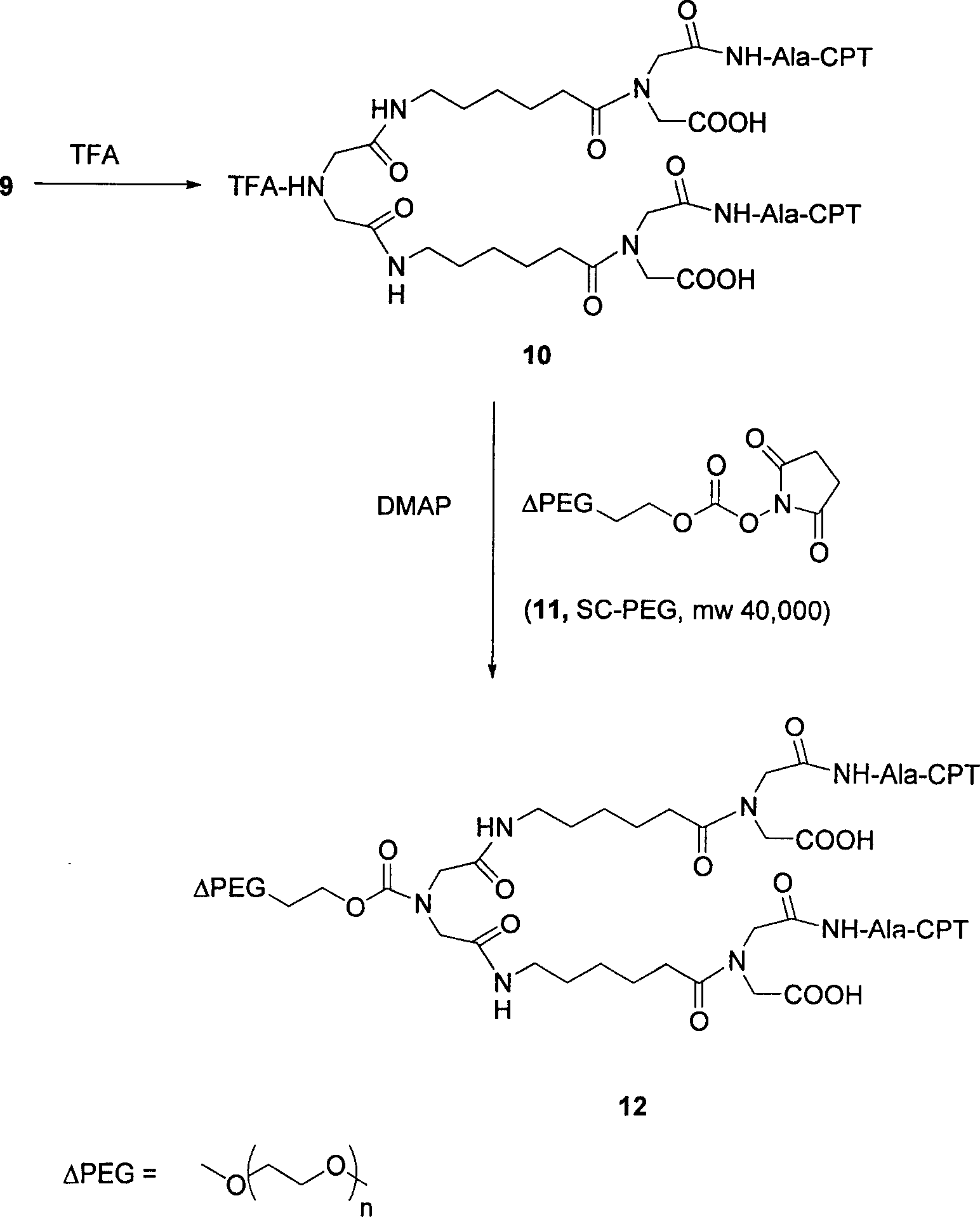 High water-soluble prodrug, and its preparing method and pharmaceutical use
