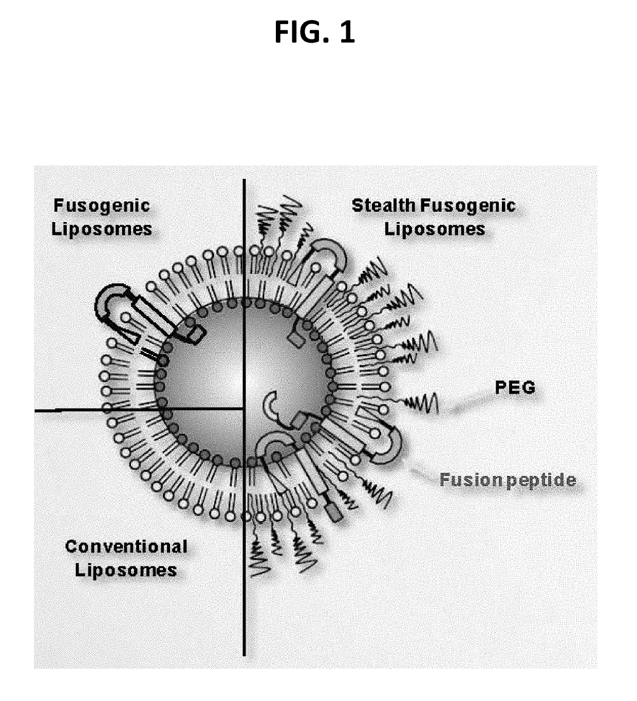 Fusogenic lipid nanoparticles and methods for the manufacture and use thereof for the target cell-specific production of a therapeutic protein and for the treatment of a disease, condition, or disorder associated with a target cell