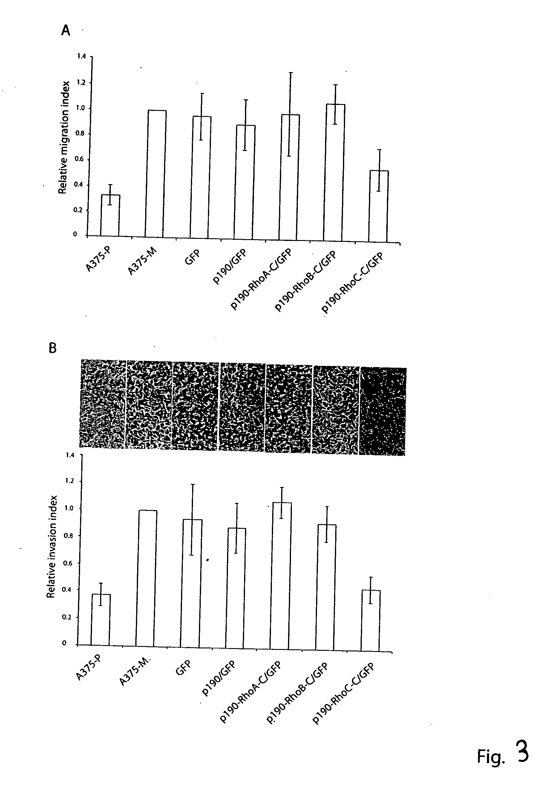 Chimeric peptides for the regulation of GTPases