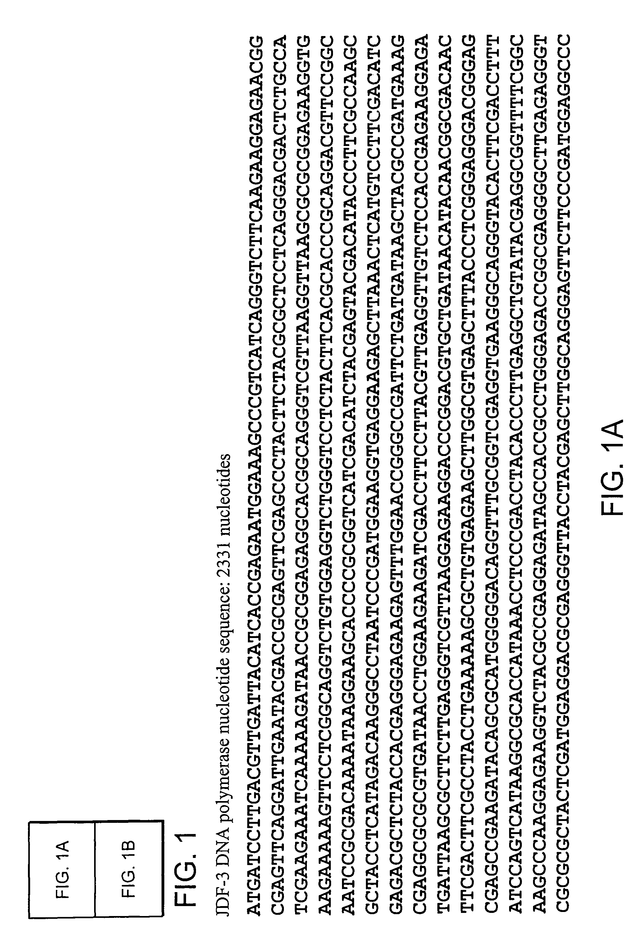 Compositions and methods utilizing DNA polymerases