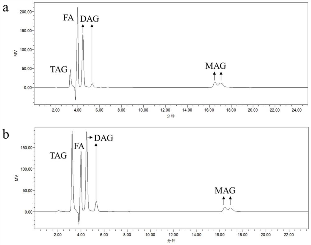 Preparation method of 2-arachidonic acid monoglyceride