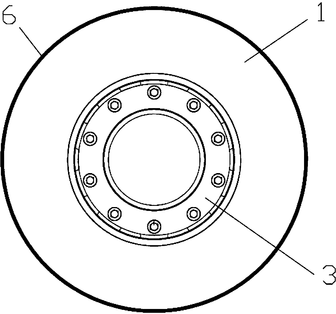 Irreversible temperature indicating paint for brake discs and preparation method thereof