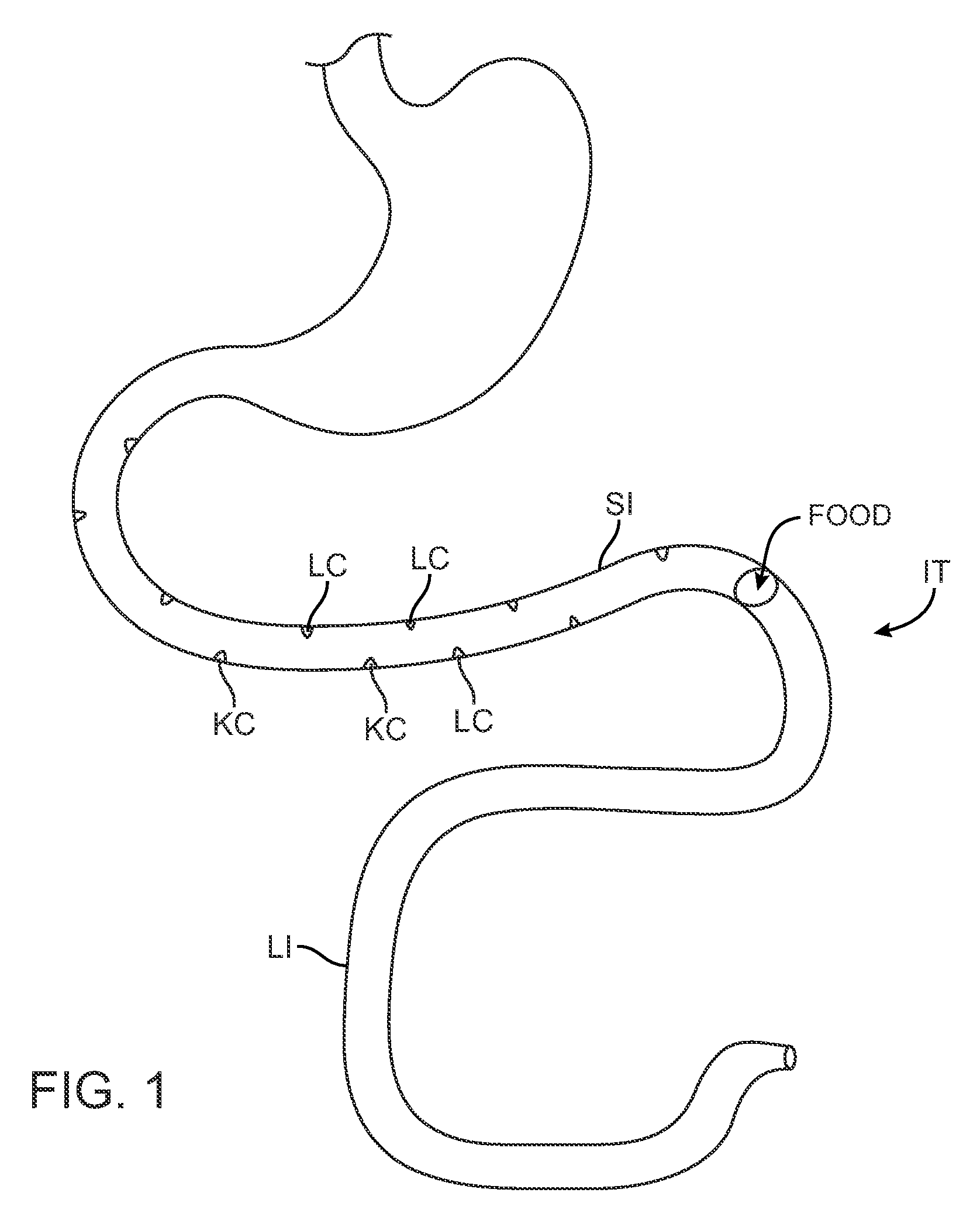Swallowable capsule and method for stimulating incretin production within the intestinal tract