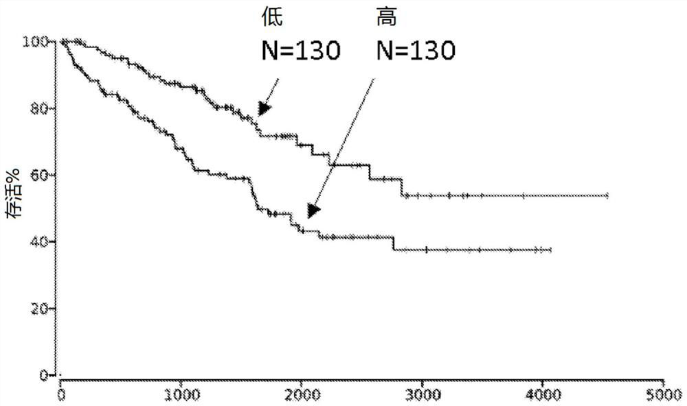 Antibodies specific to human nectin-2