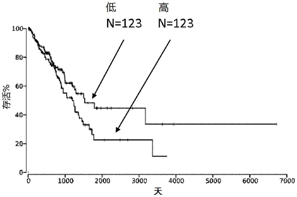 Antibodies specific to human nectin-2