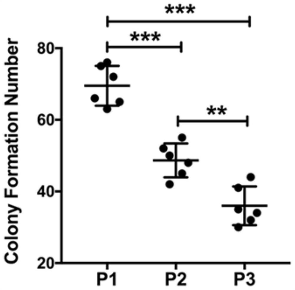 A combined use of HFDSPCS-CM and HA to promote diabetic wound healing