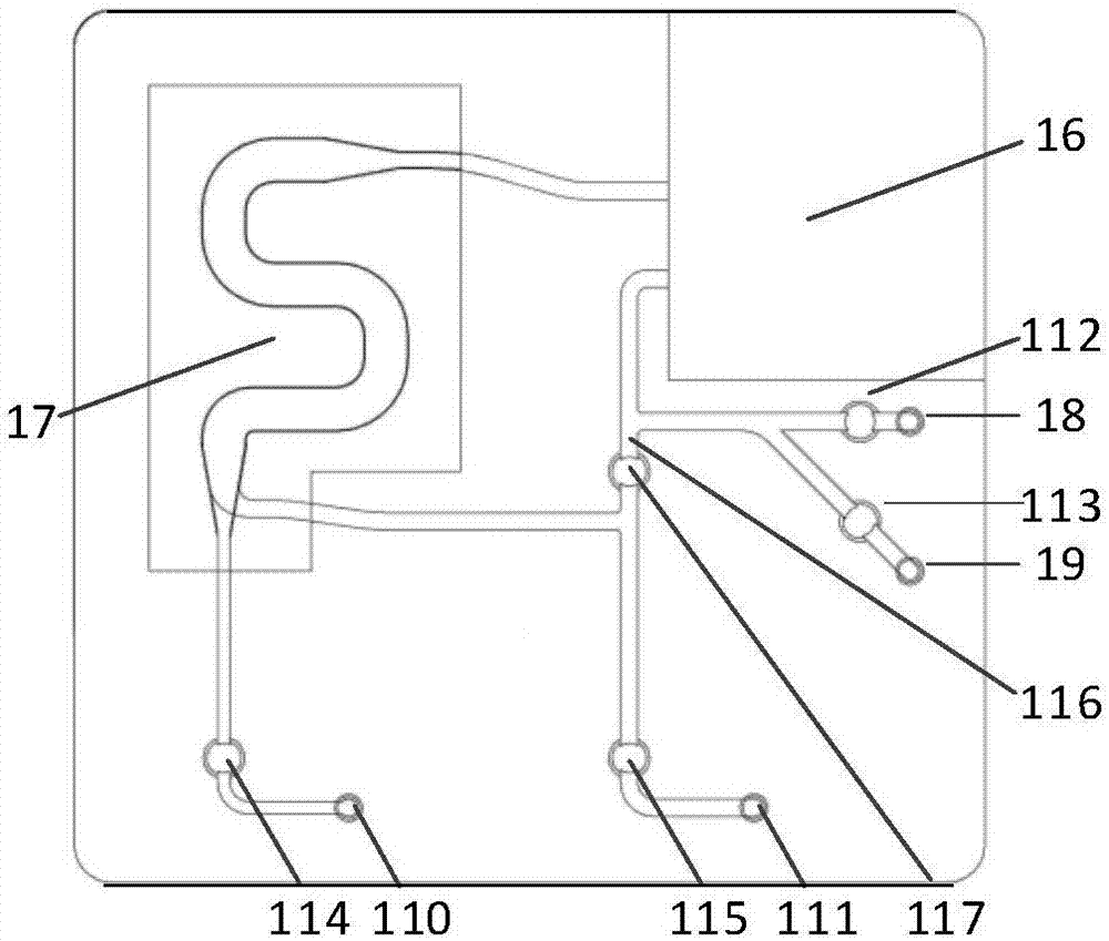 Microfluidic chip, blood cell separation method and system, and manufacturing method of the system