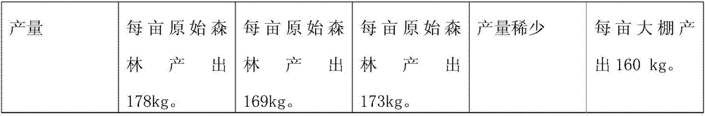 Native Ganoderma lucidum Karst cultivation technology