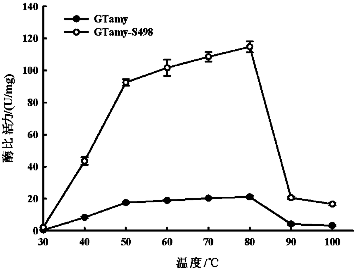 Thermophilic acidic raw starch alpha-amylase mutant capable of improving cornstarch degradation capability as well as preparation method and application thereof