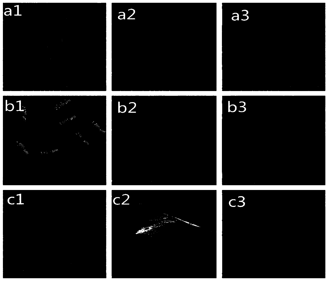 A rubidium-containing bone cement and its preparation method and application