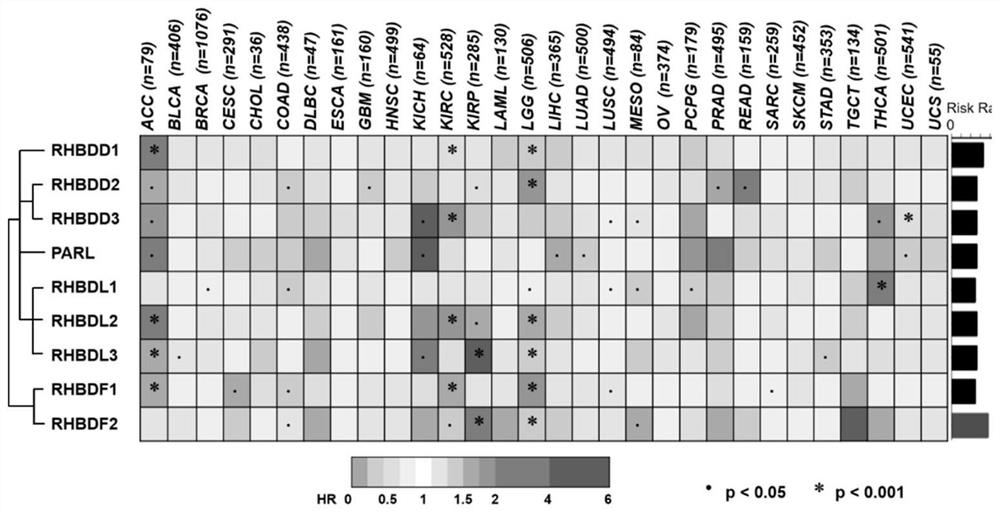 Renal clear cell carcinoma biomarker and application thereof