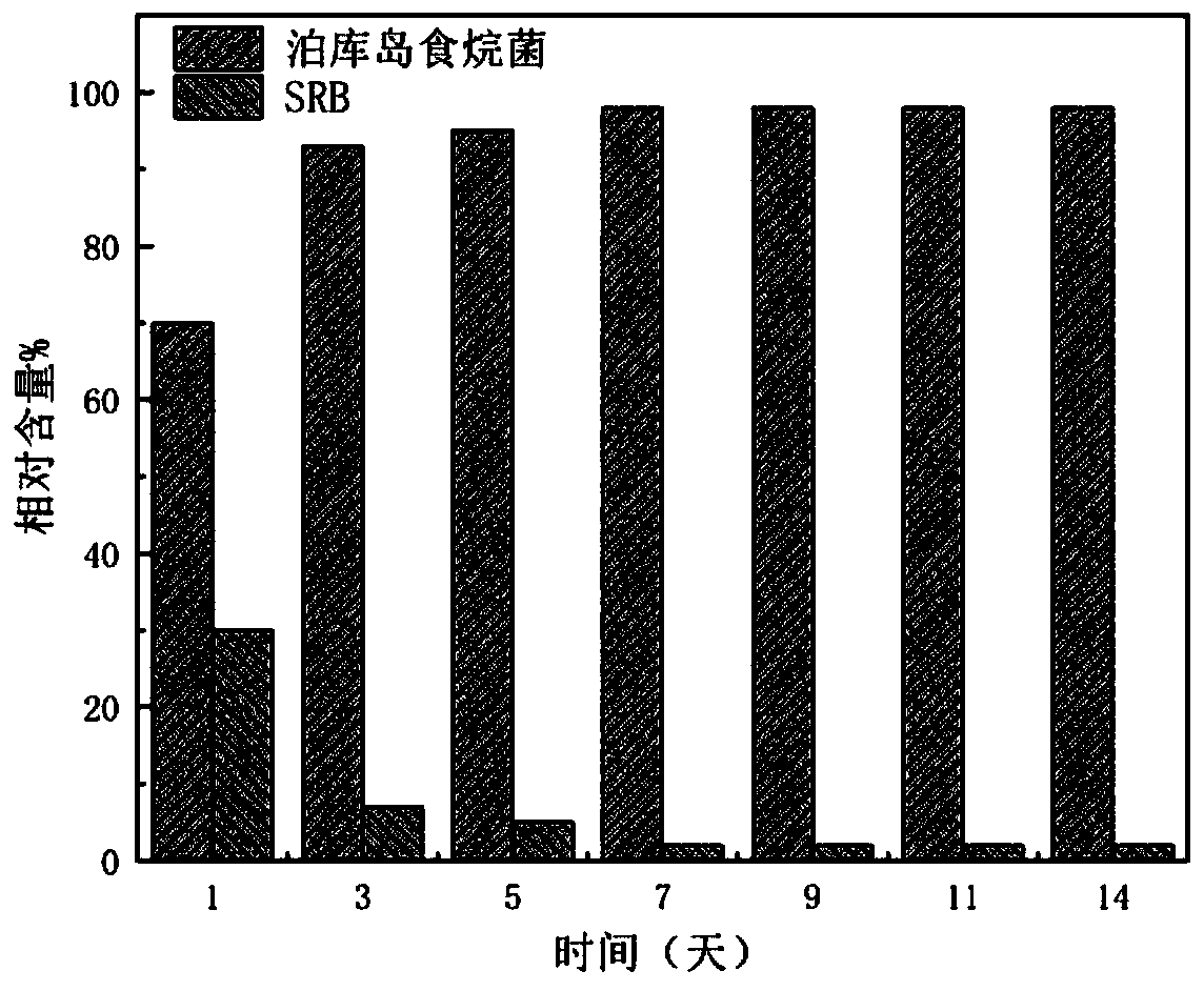 Biological bactericide for crude oil transportation pipelines, and applications thereof
