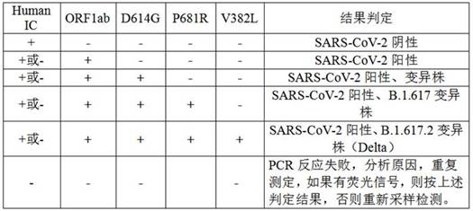 Primers and probes for detecting SARS-CoV-2 and application of primers and probes
