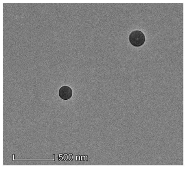 Polymer carrier and preparation method thereof, anti-tumor nanoparticles