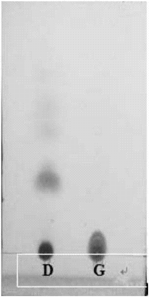 Thin-layer chromatographic detection method of curcuma zedoary in Fushengkang tablet