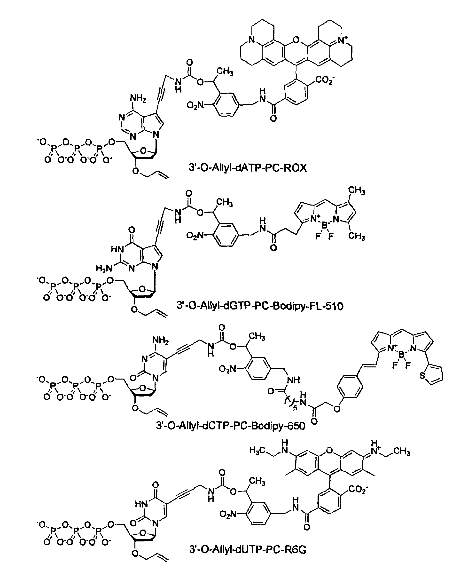 Chemically cleavable 3'-o-allyl-DNTP-allyl-fluorophore fluorescent nucleotide analogues and related methods