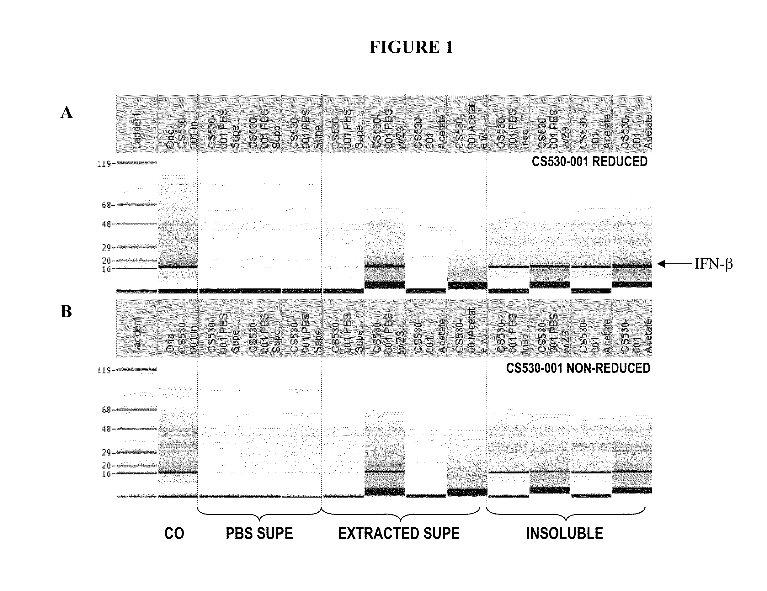 Method for producing soluble recombinant interferon protein without denaturing