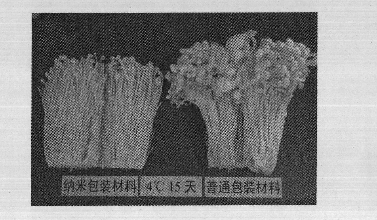 Nano packing material suitable for keeping edible fungi fresh and application thereof