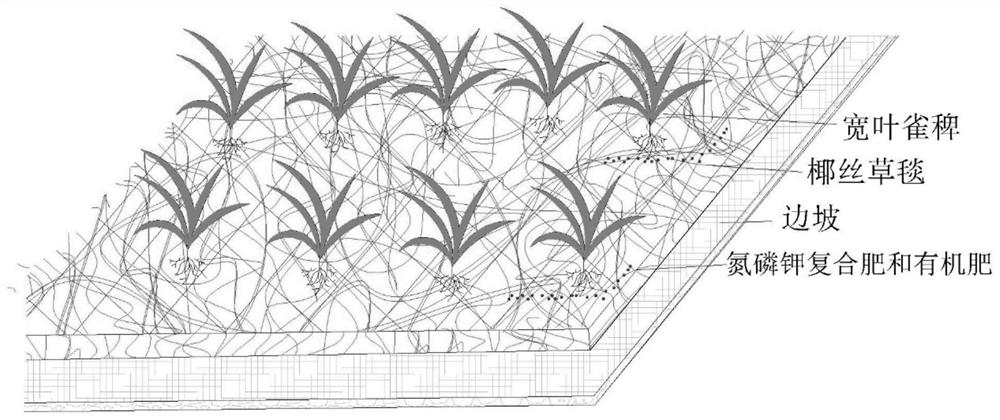 A method for repairing abandoned rare earth mines based on paspalum cultivation