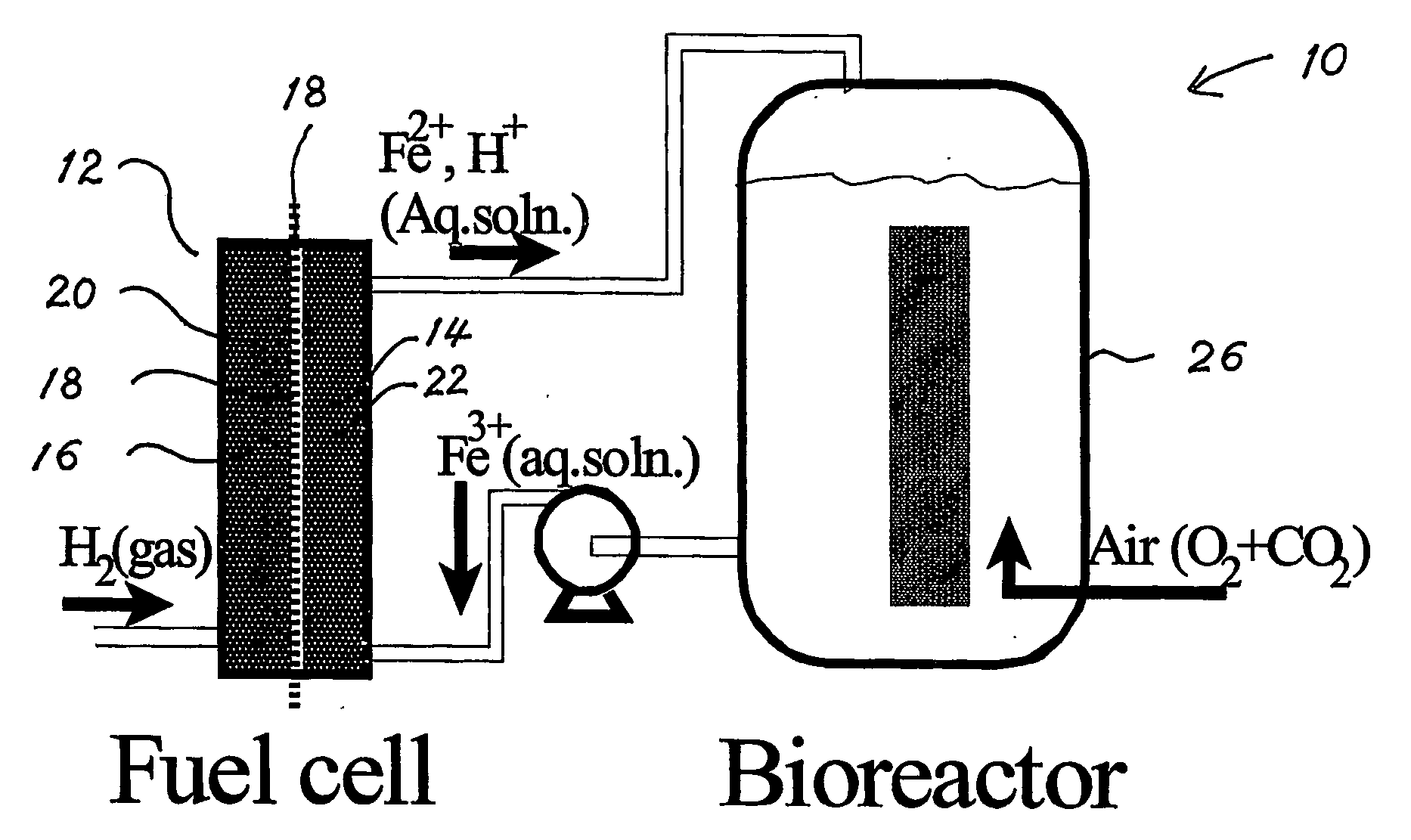 Biofuel cell