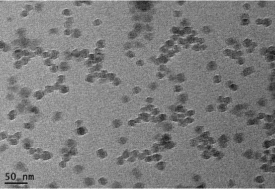 Preparation method of nano-divalent silver-supported silica gel antiseptic dressing
