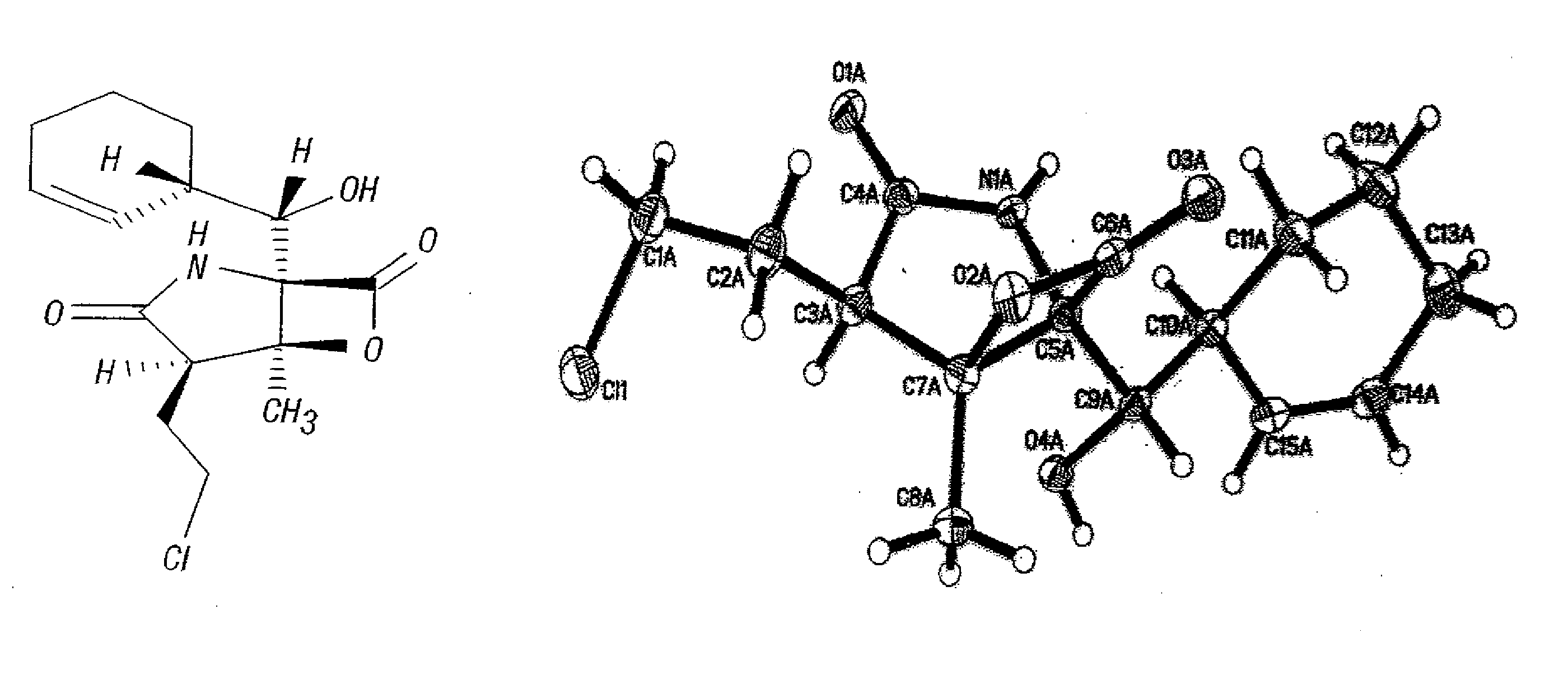 Total synthesis of salinosporamide a and analogs thereof