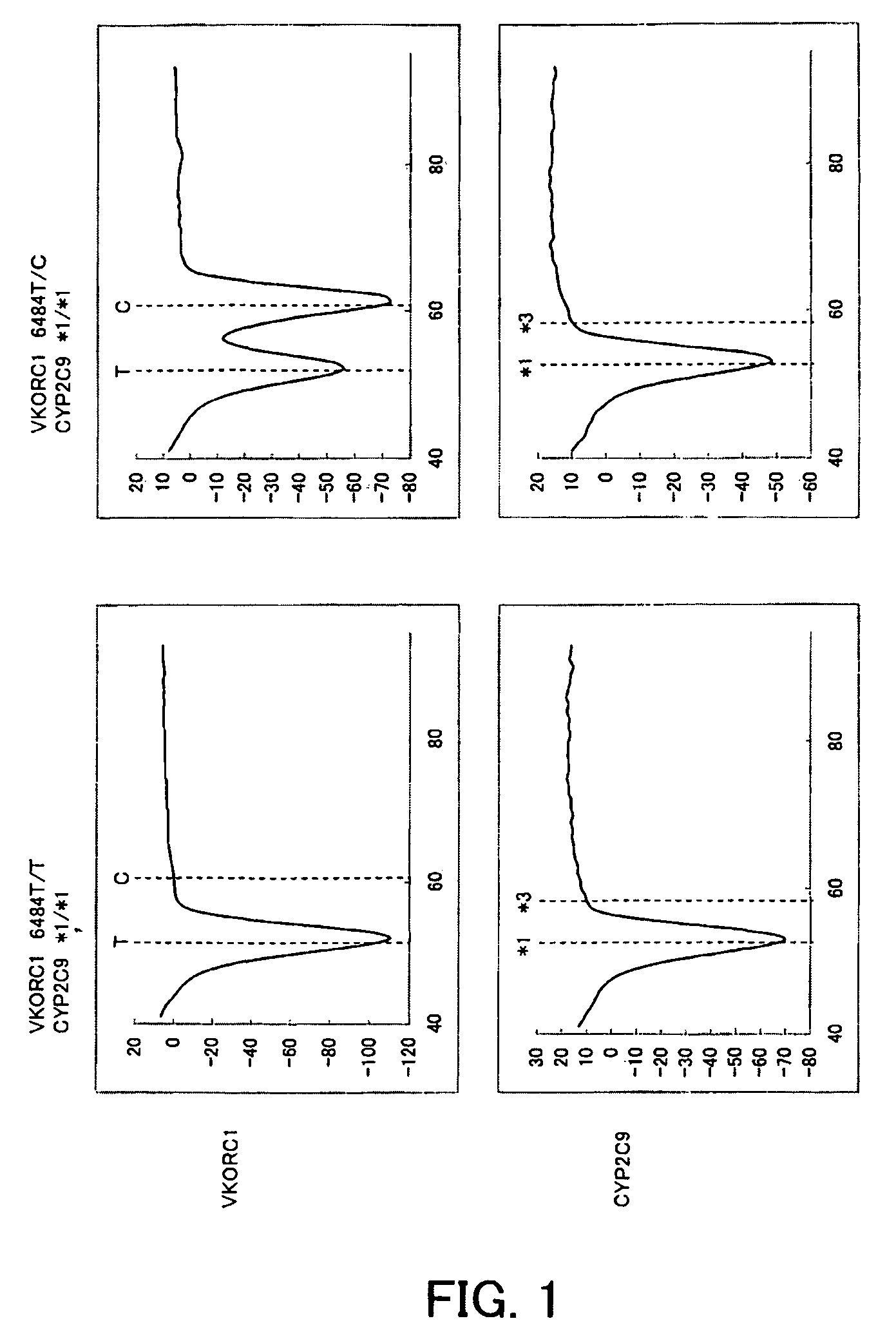 Primer set for gene amplification, reagent for gene amplification including the same, and uses thereof
