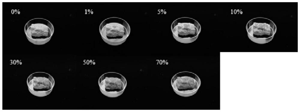 A low-field nuclear magnetic resonance method for detecting the moisture quality and/or moisture content of fresh meat and its standard sample preparation method and application