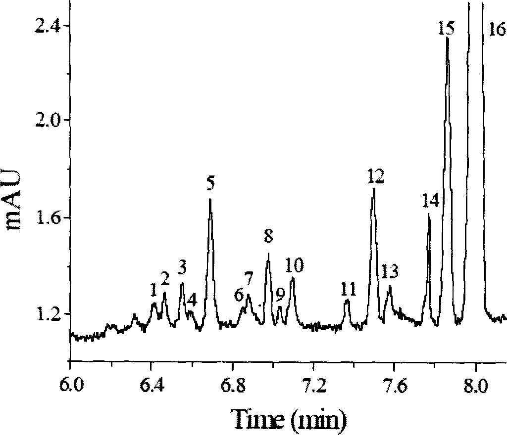 PAABSF column front derivatizing process of amino-acid