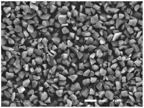 Negative active material and preparation method thereof