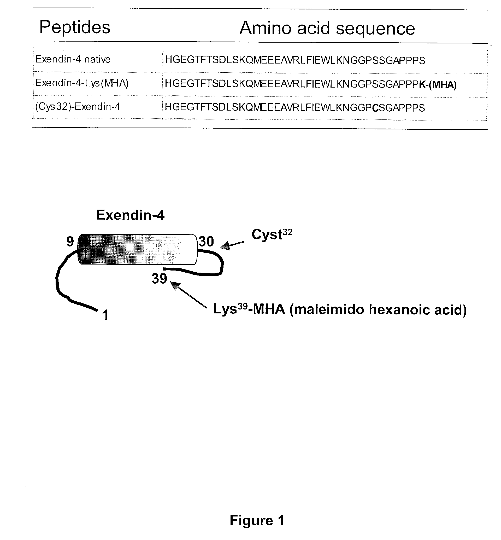 Peptide therapeutic conjugates and uses thereof
