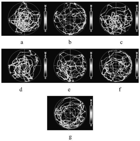 A kind of traditional Chinese medicine composition and application