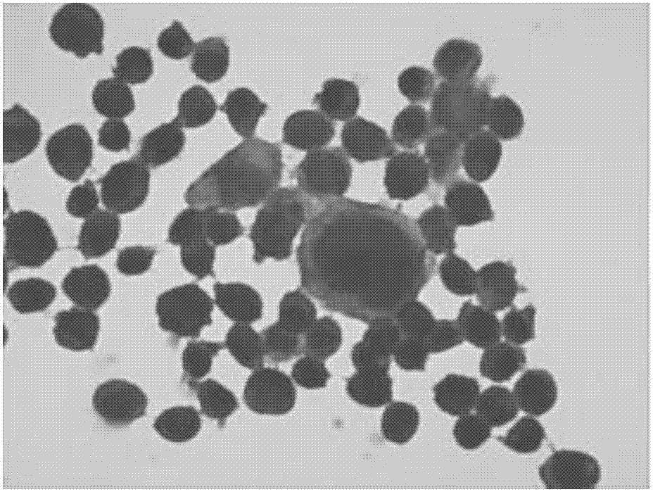 P16INK4a immunolabeling color-developing kit for cervical liquid-based cells