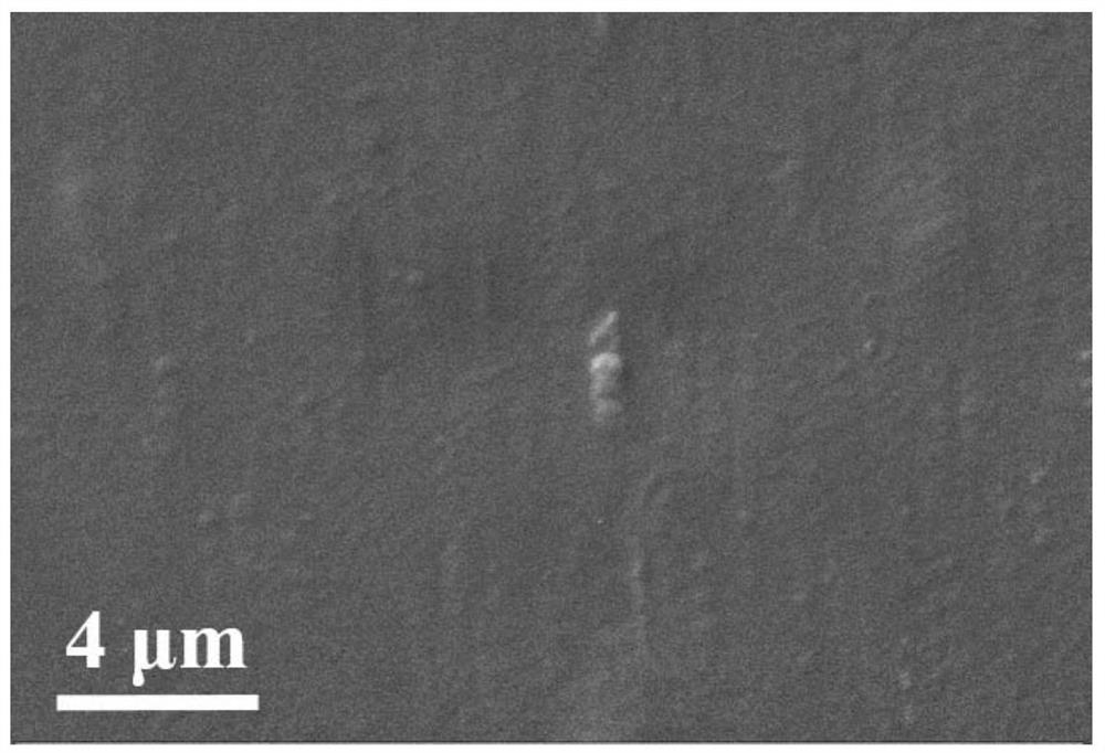 Nano-cellulose fibril /PBAT film and preparation method and application thereof